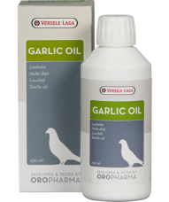 Garlic Oil 250 ml